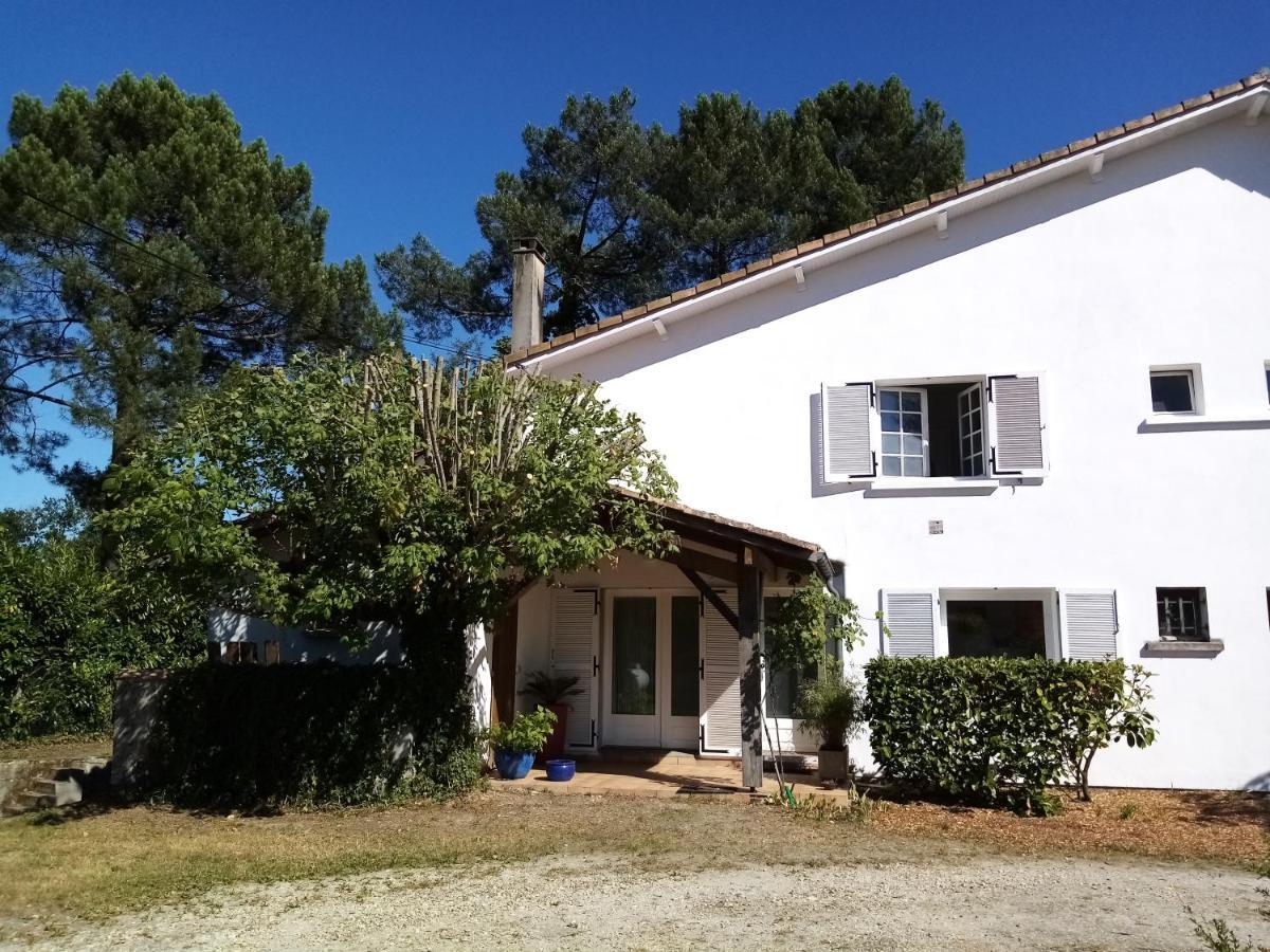 "Gite D'Ici Et D'Ailleurs" 1 Dependance Dans Propriete,Et 1 Maison Independante Au Coeur Du Vignoble Bordelais Et Du Bassin D Arcachon Saint-Morillon Eksteriør billede